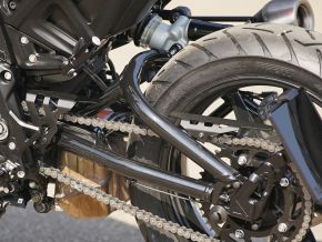 Chain Guard Indian FTR 1200 / S
