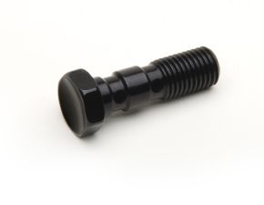 Double Banjo Bolt