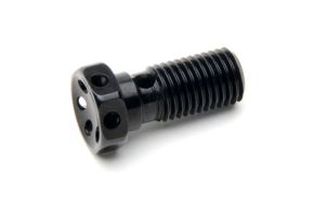 Banjo Bolt